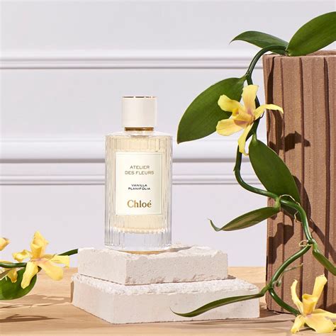 atelier des fleurs chloe vanilla|atelier des fleurs vanilla.